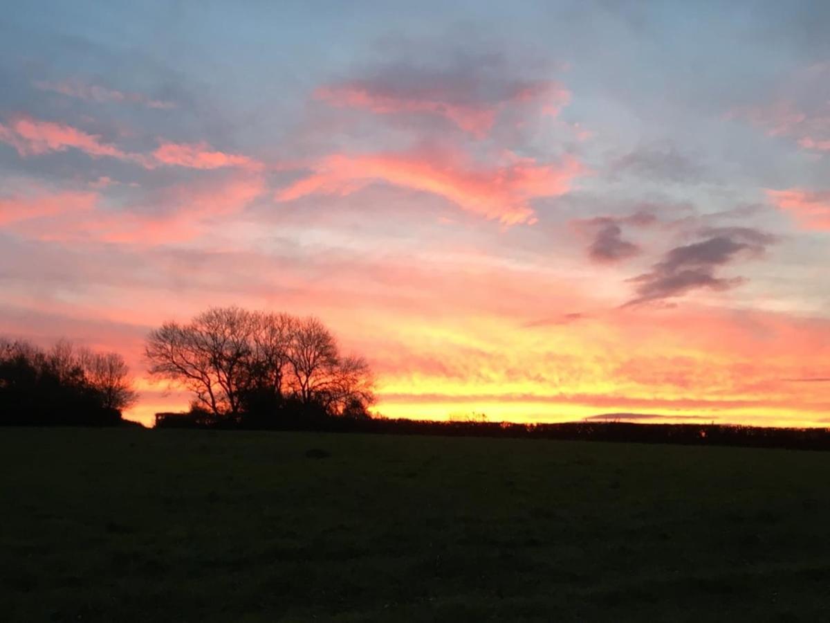 Award Winning Lower Whitsleigh Farm Cottage Roborough エクステリア 写真