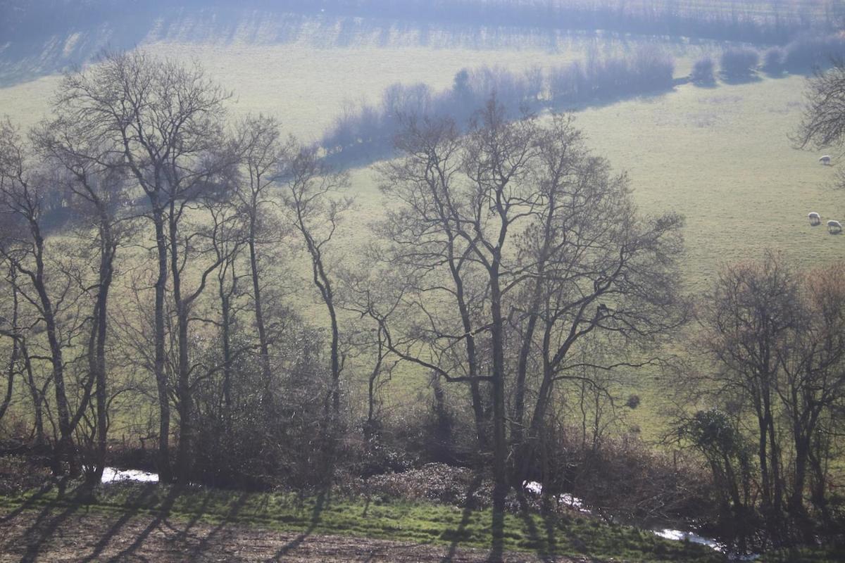 Award Winning Lower Whitsleigh Farm Cottage Roborough エクステリア 写真