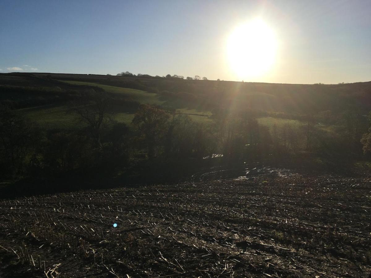 Award Winning Lower Whitsleigh Farm Cottage Roborough エクステリア 写真