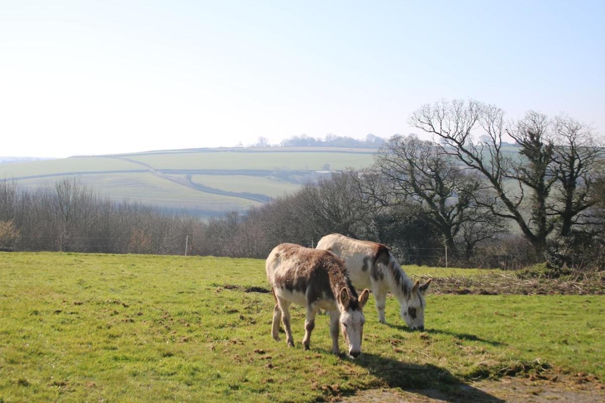 Award Winning Lower Whitsleigh Farm Cottage Roborough エクステリア 写真